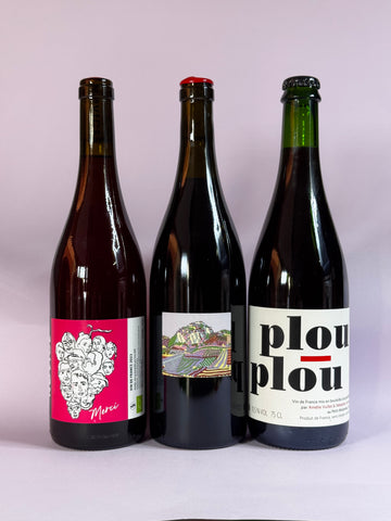 ESPERIENZA POULSARD