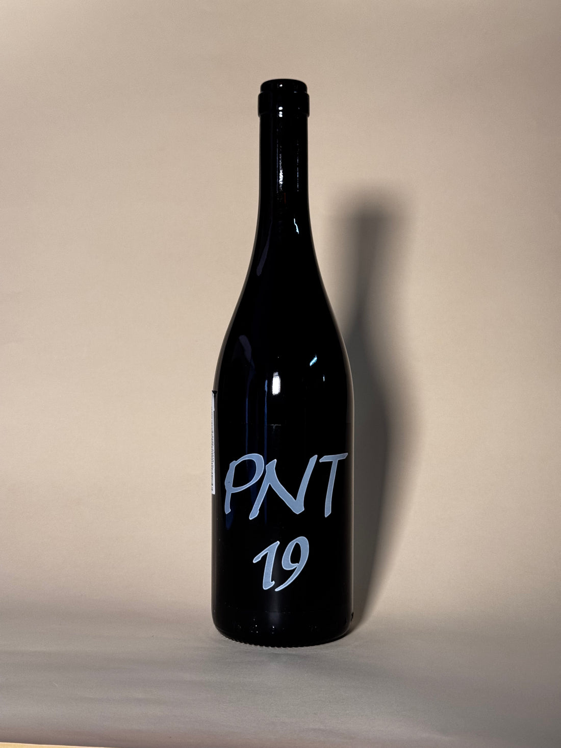 PNT19