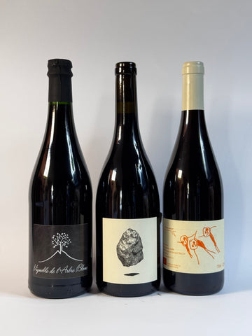 ESPERIENZA PINOT NERO AUVERGNE